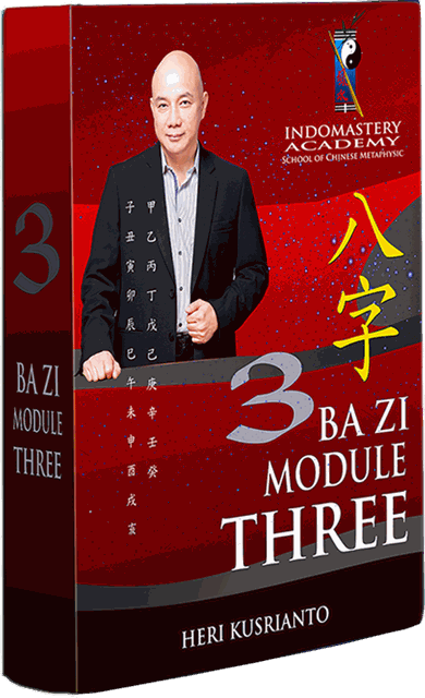 BaZi Module