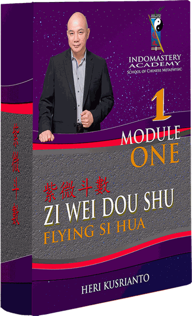 Zi Wei Dou Shu