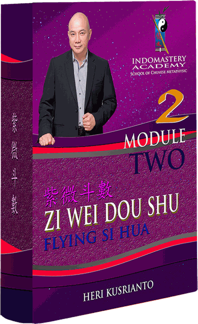 Zi Wei Dou Shu