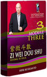 Zi Wei Dou Shu